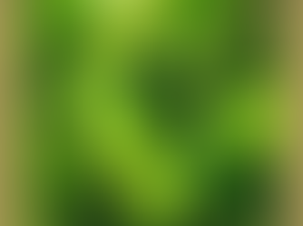 Dica Saudável | Ginkgo Biloba | Um fitoterápico para memória.