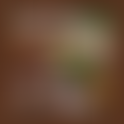 InSea 2 | Bloqueador de Carboidratos