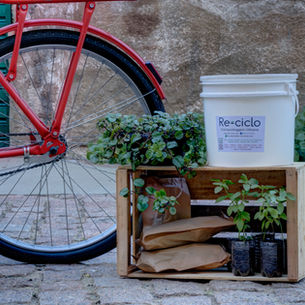 Dica Saudável - Compostagem Urbana