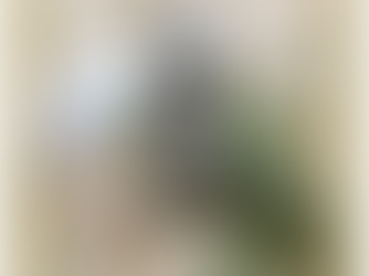 Dica Saudável | Citronela e seus benefícios