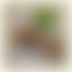 Dica Saudável | Kibe vegano | Especial Outubro Rosa & Dia Mundial da Alimentação