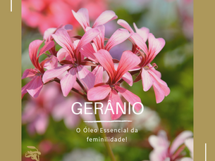 Dica Saudável | Óleo Essencial de Gerânio