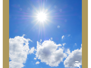 Vitamina D | Você sabe a importância?