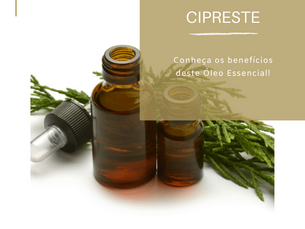 Dica Saudável | Óleo Essencial de Cipreste
