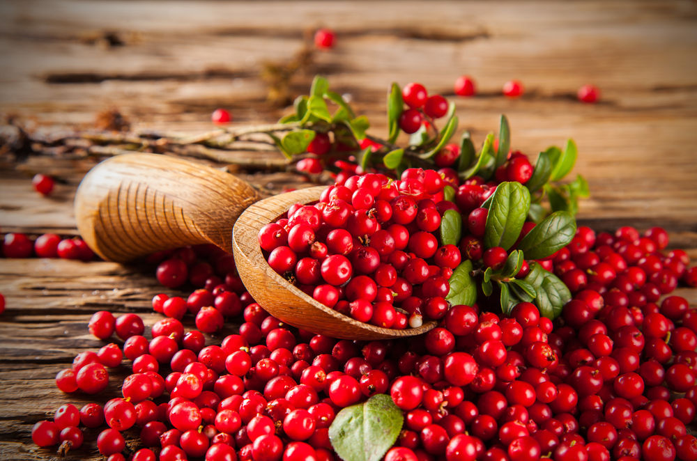 Dica Saudável | Cranberry