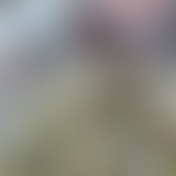 Dica Saudável - Escondidinho de Aipim