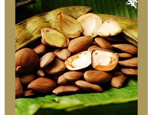 Dica Saudável | Óleo Vegetal de Pracaxi