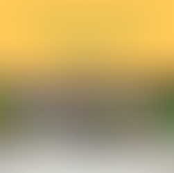 Dica Saudável | As belezas dos óleos essenciais em sinergia.