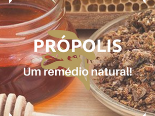 Dica Saudável - Apiterapia / Própolis - Um remédio natural!