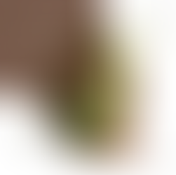 Dica Saudável | Plantas medicinais na manutenção e restauração da saúde | Graviola