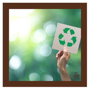 Dica Saudável | Por um mundo com menos lixo | Parceria Selo Eureciclo