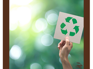 Dica Saudável | Por um mundo com menos lixo | Parceria Selo Eureciclo