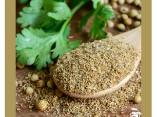 Diurético, Antioxidante e Anti-inflamatório | Conheça os benefícios do Coentro