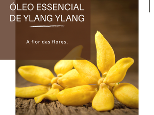 Dica Saudável | Óleo Essencial de Ylang Ylang