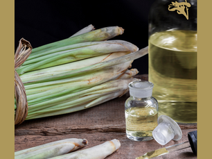 Dica Saudável | Óleo Essencial de Citronela