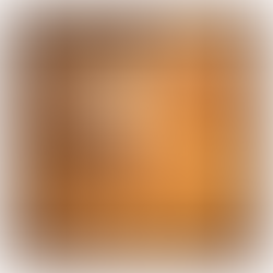 Dica Saudável | Própolis