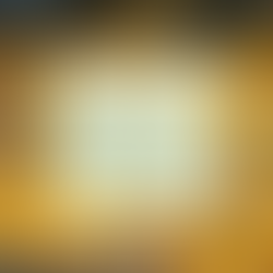 Dica Saudável | Quiche de Legumes sem Glúten e sem Lactose