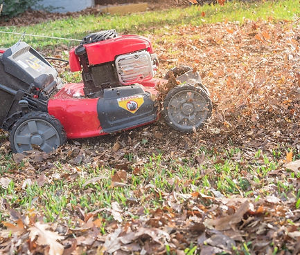 Mulching leaves into lawns near Cleveland neighborhood
