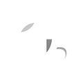 pcd-white_logo.png