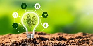 Energy Efficiency & Green Building Features: What Makes a Home Truly Efficient