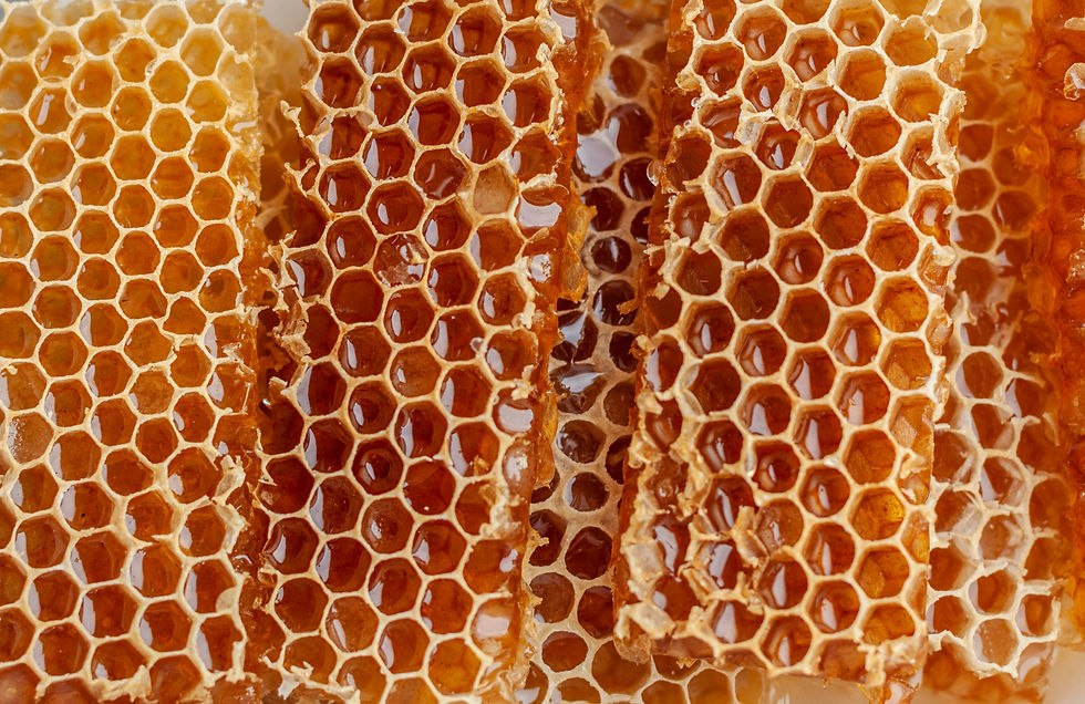 A photo of honeycomb up close showing the cells full of amber honey.