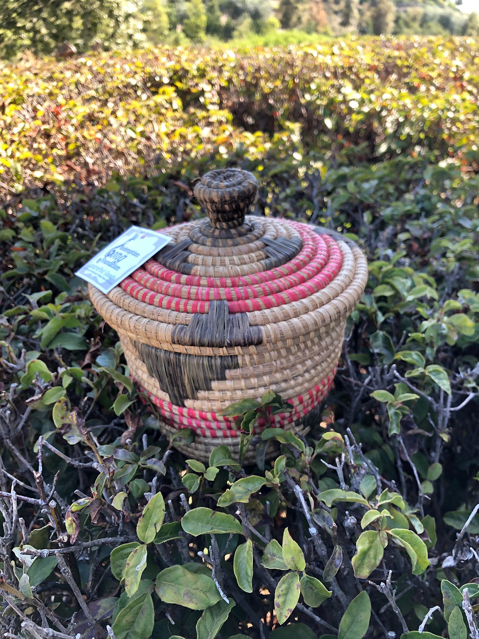 Red & Olive XL Lidded Basket