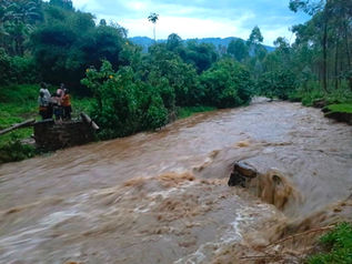 Batwa children stare at a swollen, muddy river with the missing bridge