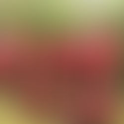 Let's All Give Generously Today! Giving Tuesday!