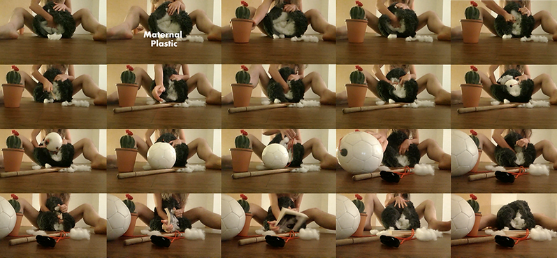 Maternal plastic image.png