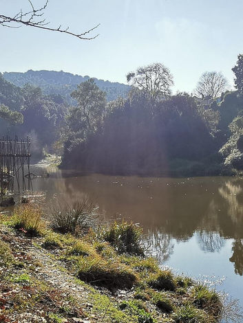 Fotografieroute door de geheime natuur van Barcelona