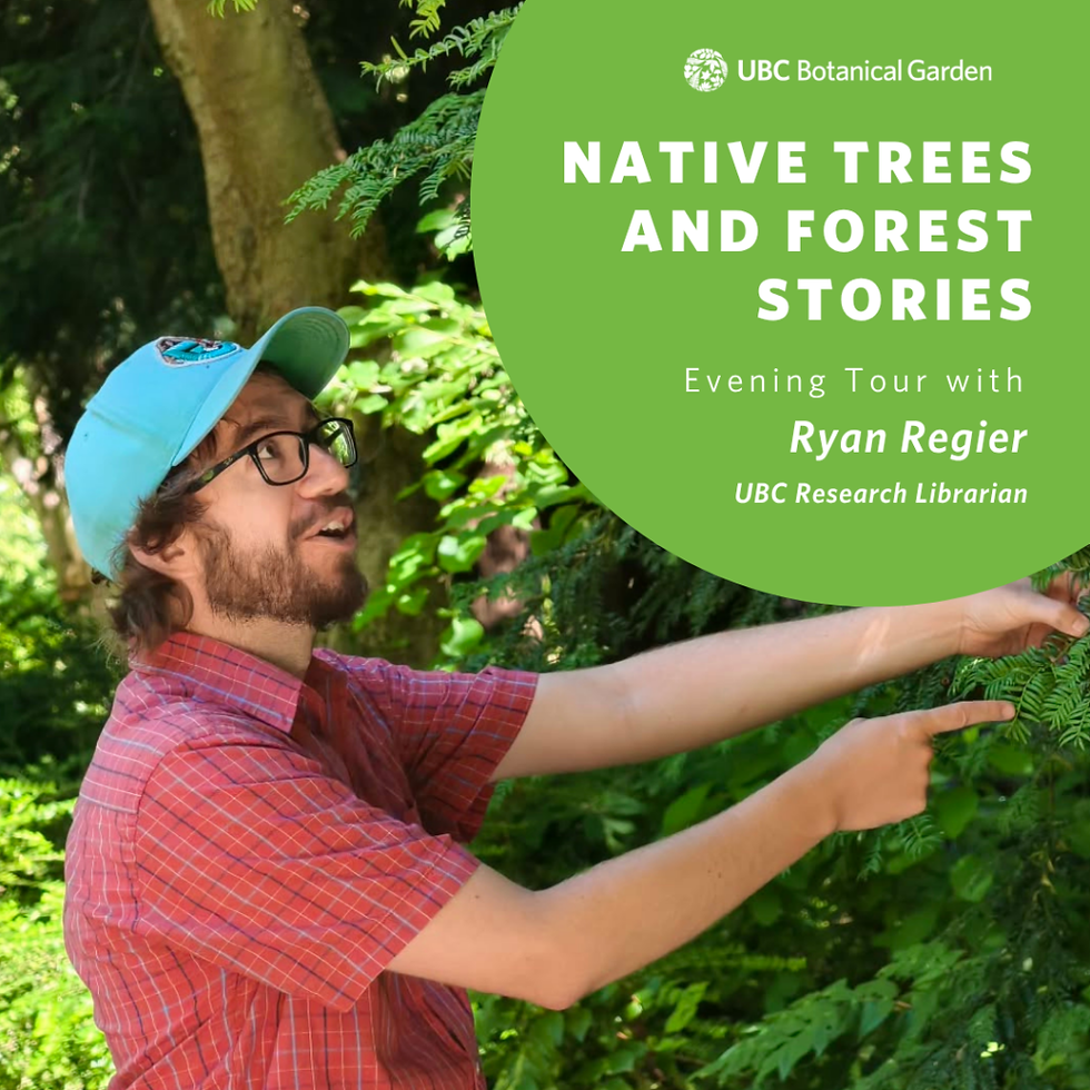 PAID WALK- Among Giants: Native Trees and Forest Stories Tour at UBC BOTANICAL GARDEN