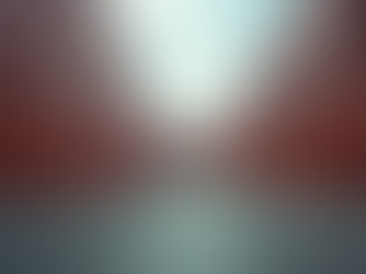 Key Steps in Importer Readiness Reviews Explained