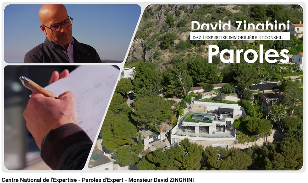 Paroles d'Expert Immobilier - David ZINGHINI agréé CNE