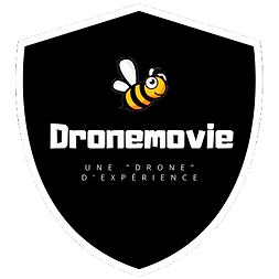 Logo DRONEMOVIE.png