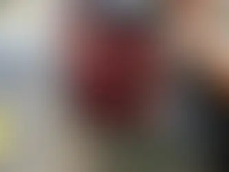 Remplacement du Toit panoramique !!!