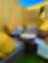 ed144cc3-7121-4044-8e75-598bf5238bcb.avif