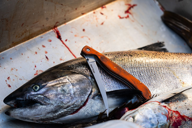 Jay Siemens x Charter Tofino - 2025 (Meateater)-29.jpg