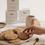 Miniatura: Galletas de avena y chocolate sin gluten ecológicas