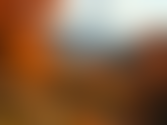 Unexpected Adventures: Discover 5 Fun Fall Activities in the Catskills and Hudson Valley