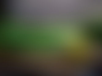 Celery Juice...What's All This Hype About?