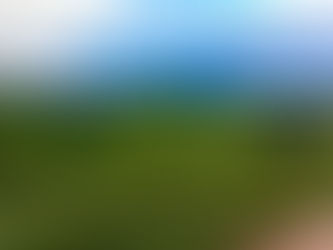 Digging Deep...My Forty Mile Training Run