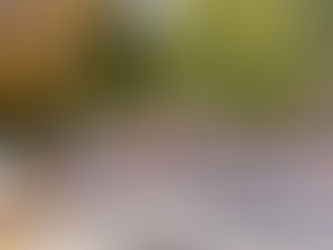 2021 Colorado Marathon Recap