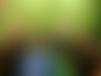 HB er tilbage i 2 division!