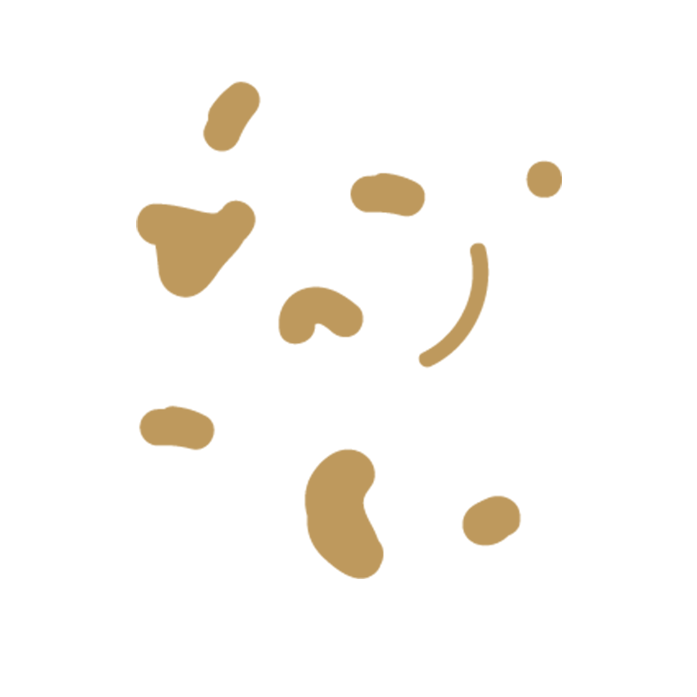 spikkels2.GIF