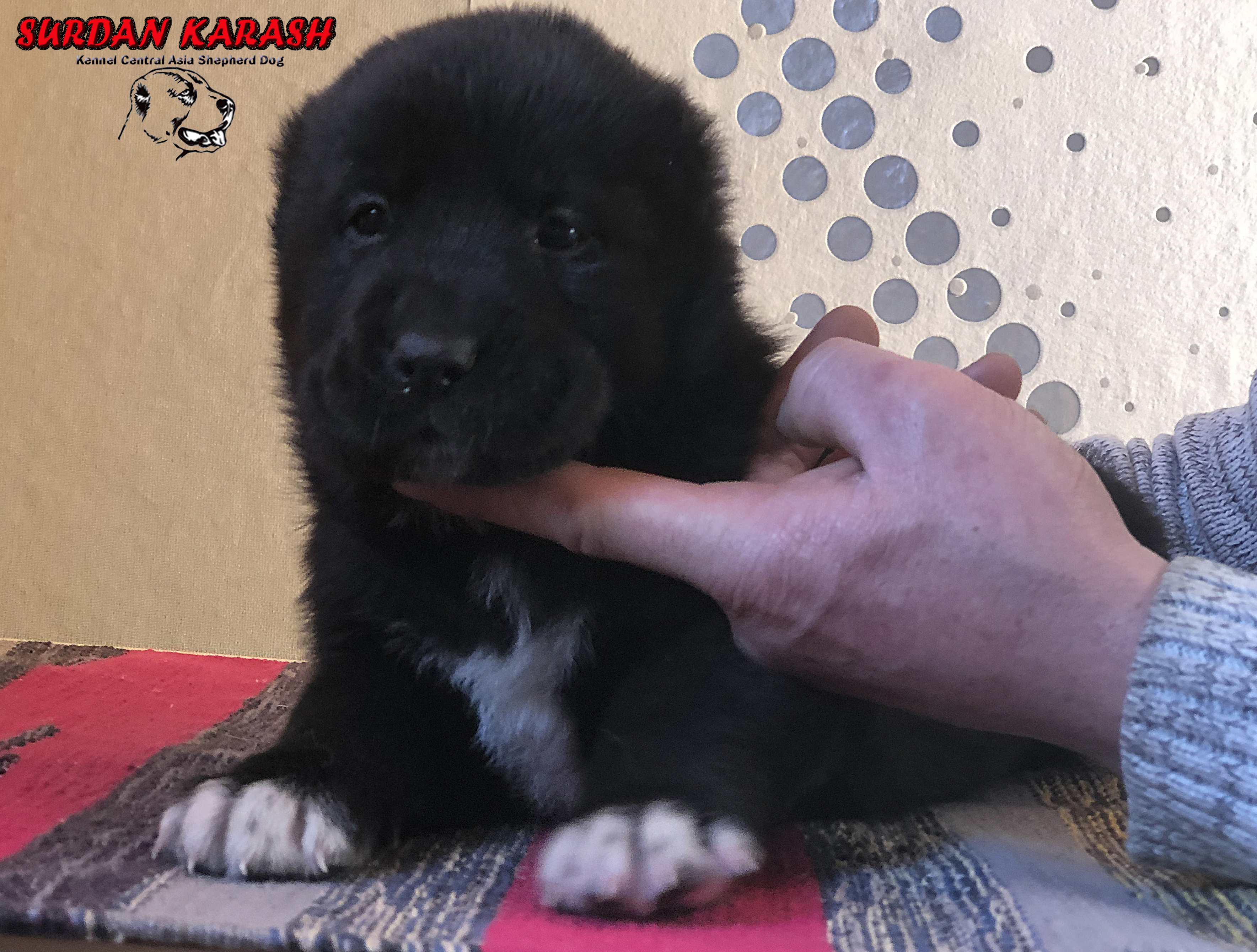 1 месяц