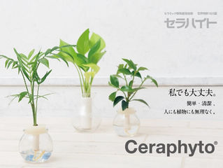 Ceraphyto webサイトオープンしました!