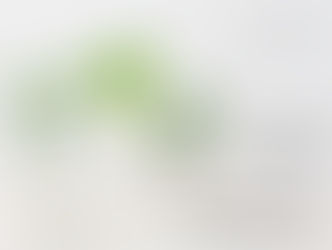 Ceraphyto webサイトオープンしました!