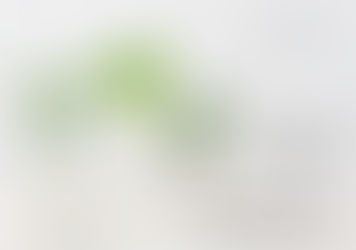 Ceraphyto　webサイトオープンしました！