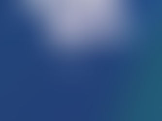 Business transnationalism, looking from the outside in