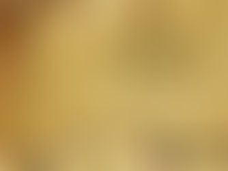 Introduction to ECOINT